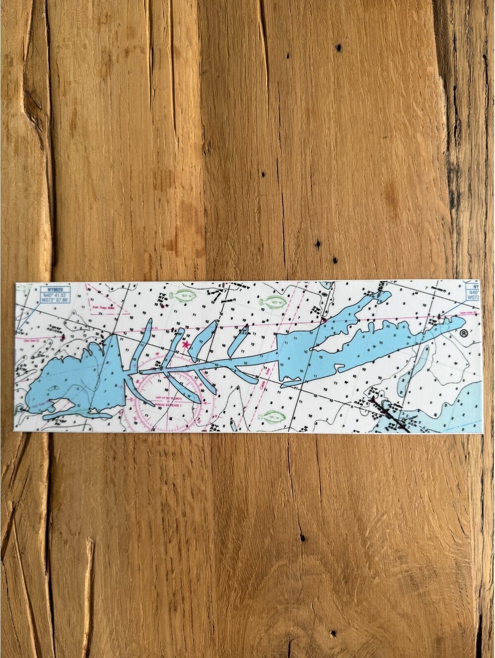 FISH MAP Skeleton Sticker Carleton LI Montauk Long Island NY New York